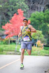 BIB: 8270
                            <button type="button" onclick="openModal(19238917)" class="btn btn-primary btn-sm float-right btn-popup" data-toggle="modal" data-target=".modal-high-quality">
                        <i class="fas fa-shopping-cart"></i> Add to Cart
                    </button>
                                            <button type="button" onclick="isThisMe(19238917, true)" class="btn btn-success btn-sm float-right btn-popup btn-isme hidden" data-toggle="tooltip" data-placement="bottom" title="นี่คือรูปของคุณใช่ไหม คลิกที่นี่เพื่อเอาเข้าอัลบั้ม">
                        <i class="fas fa-plus"></i> Add to album
                    </button>
                    <button type="button" onclick="isThisMe(19238917, false)" class="btn btn-warning btn-sm float-right btn-popup btn-isnotme hidden">
                        <i class="fas fa-ban"></i> Remove from album
                    </button>